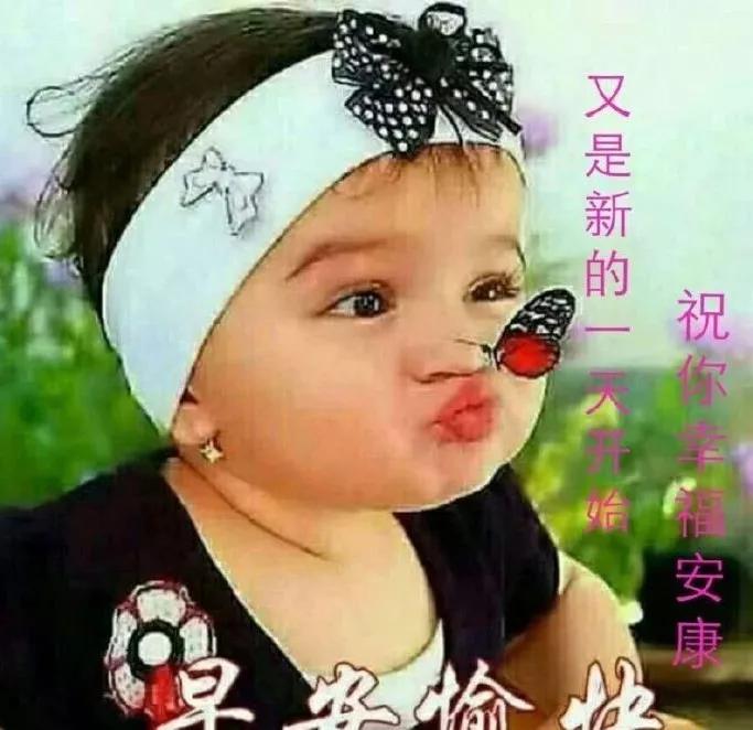 第1186页