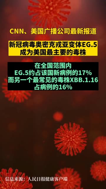 第511页